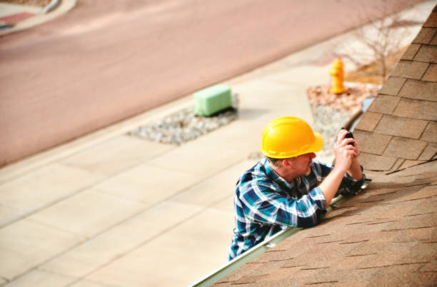 Best Roof Gutter Cleaning  in Freeland, PA