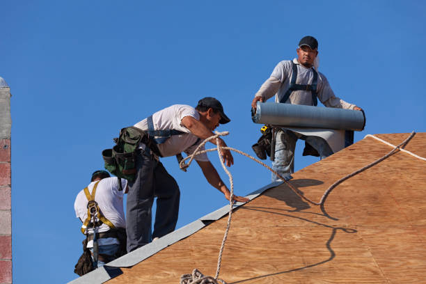 Best Metal Roofing Contractor  in Freeland, PA
