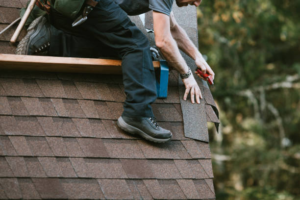 Roof Gutter Cleaning in Freeland, PA